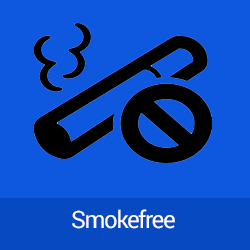 Smokefree Icon