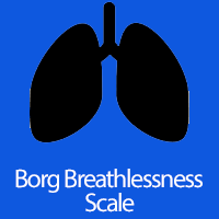 Borg Breathlessness Scale